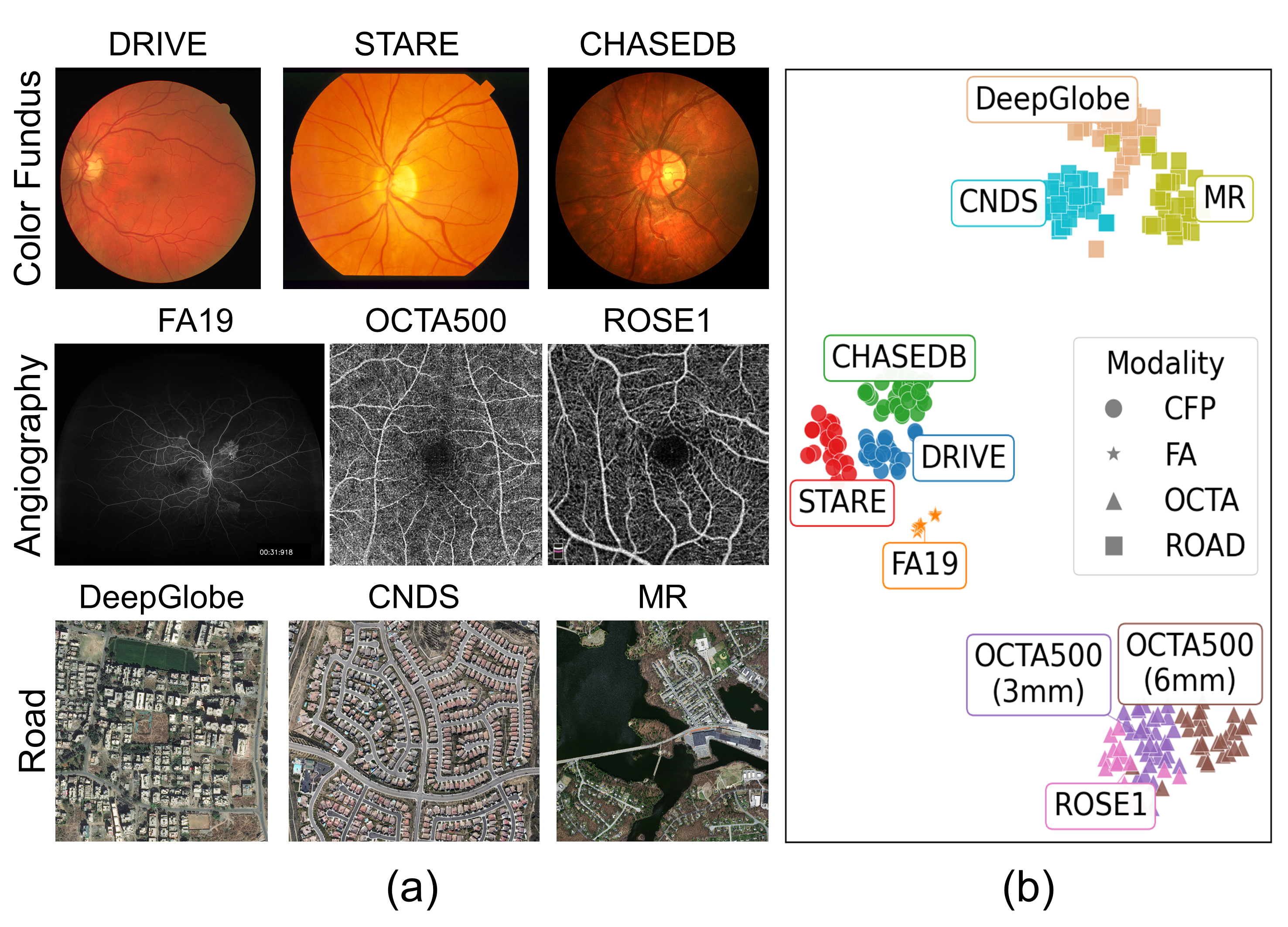 Curvilinear datasets and their domain characteristics