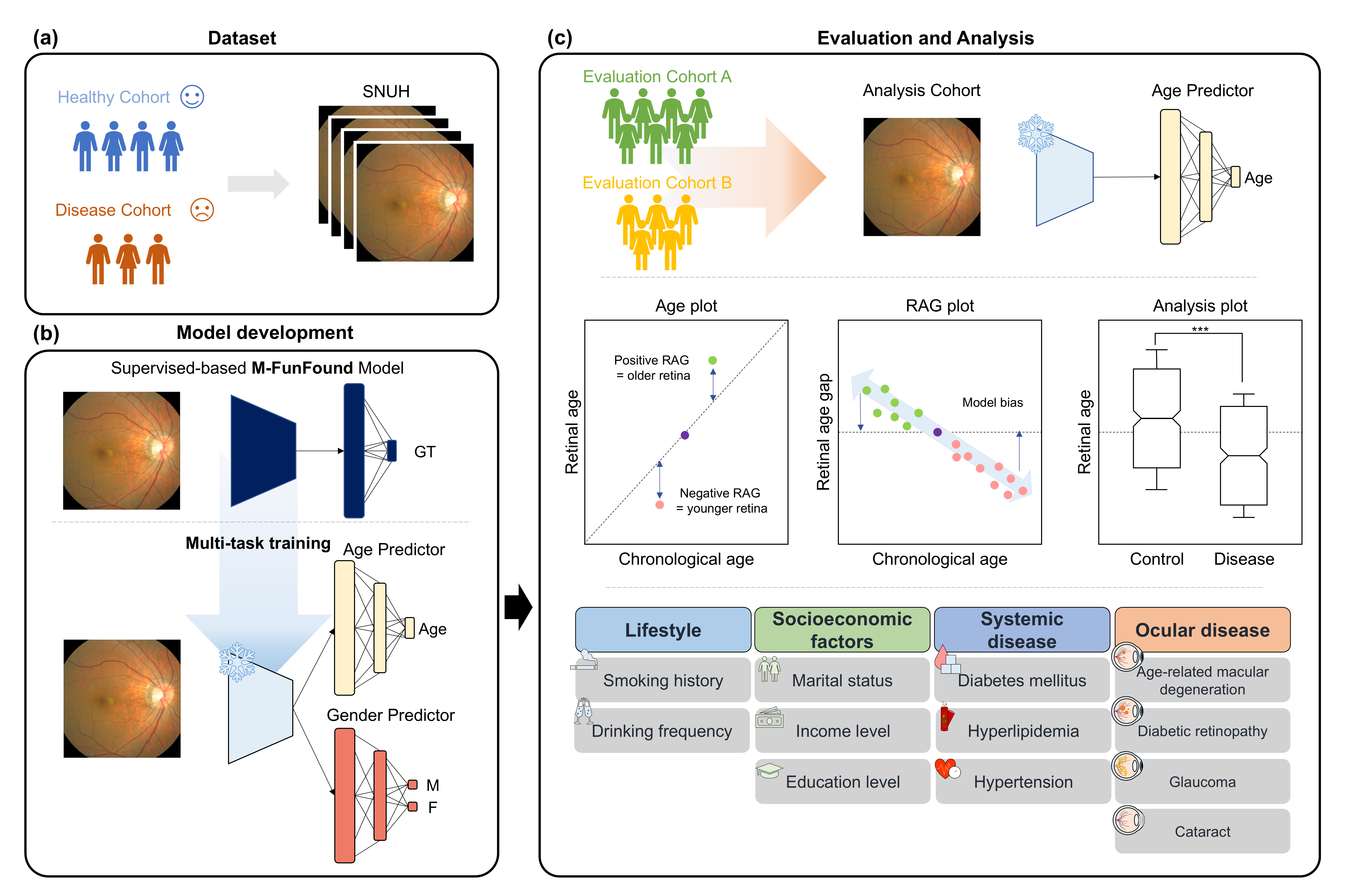 Deep Learning–Derived Retinal Age Gap and Its Associations with Lifestyle, Systemic, and Ocular Health
