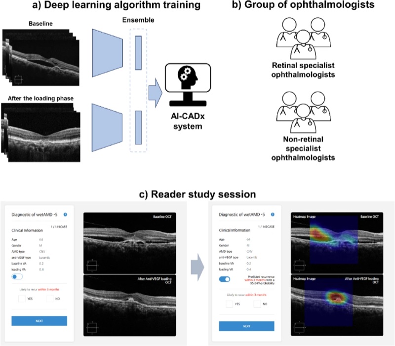 AI-based prediction of first recurrence in neovascular AMD validated by 19 experts