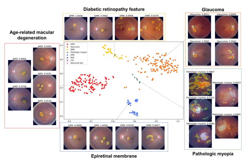 M-FunFound: clinically grounded retinal representation learning framework